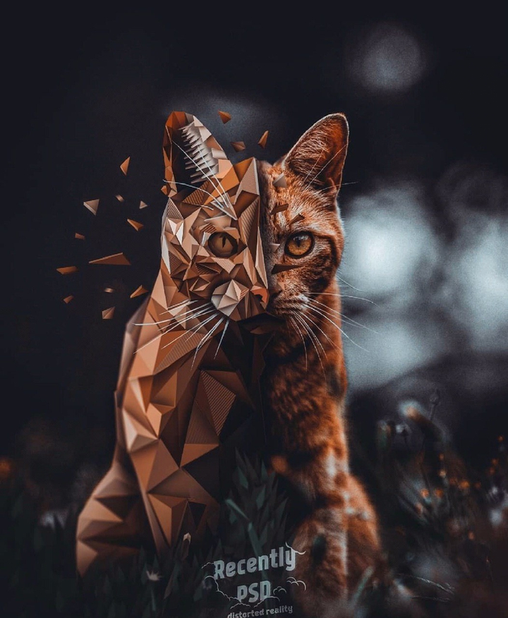 ❤️
