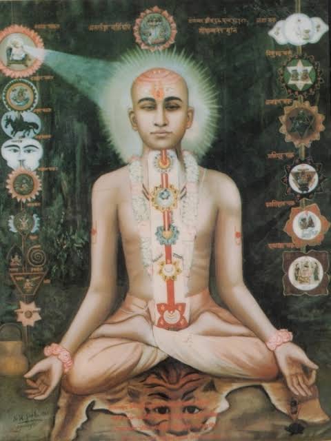 ગોપાળાનંદ સ્વામી