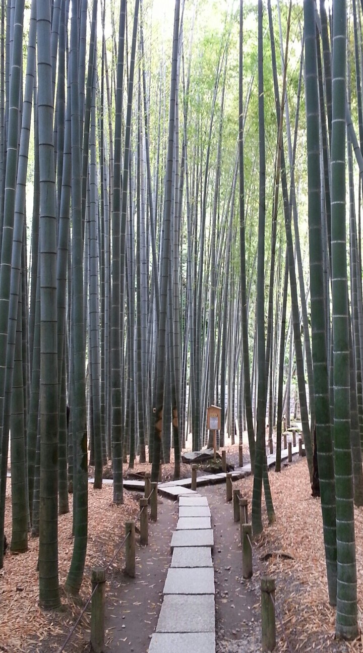 kamakura