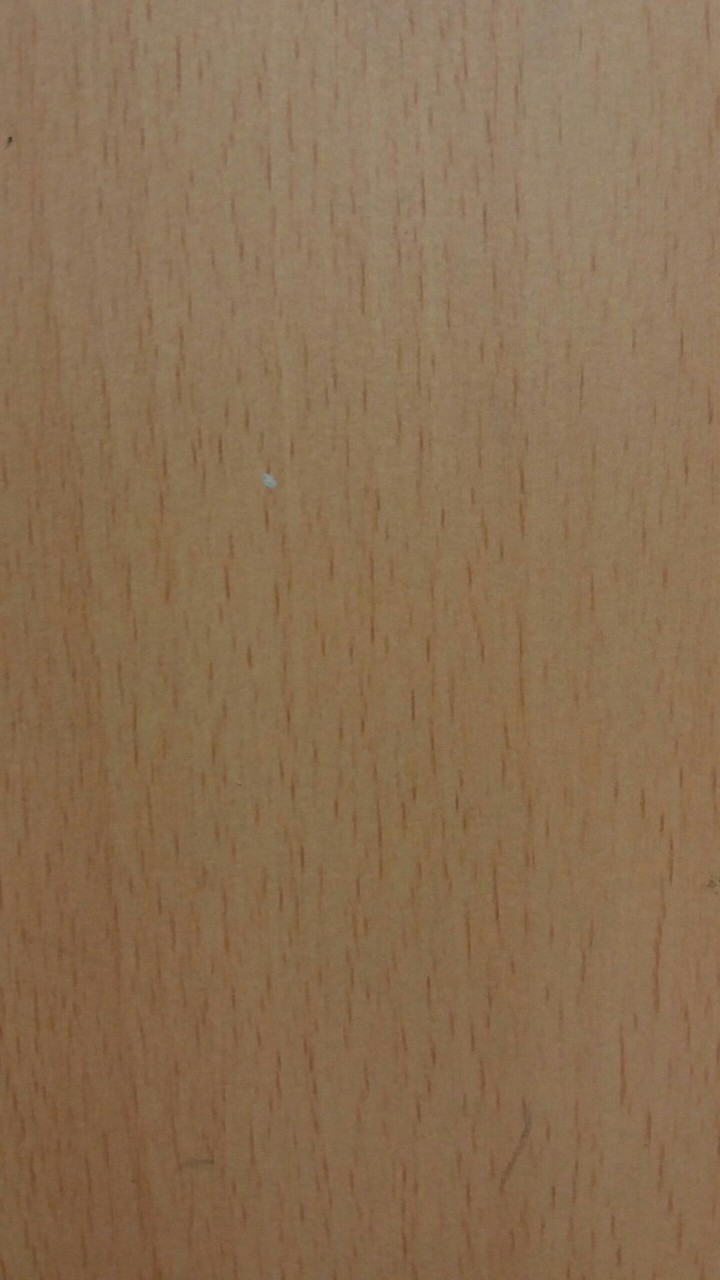 나무