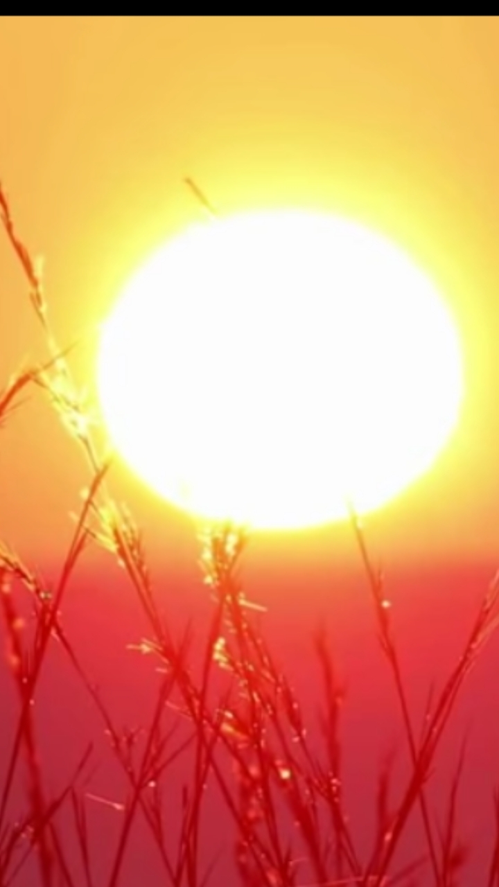 sun vs grass land