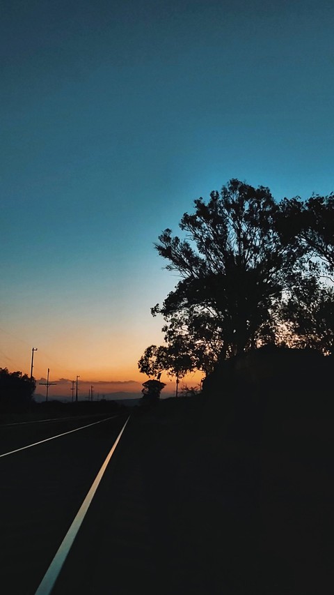 Tren