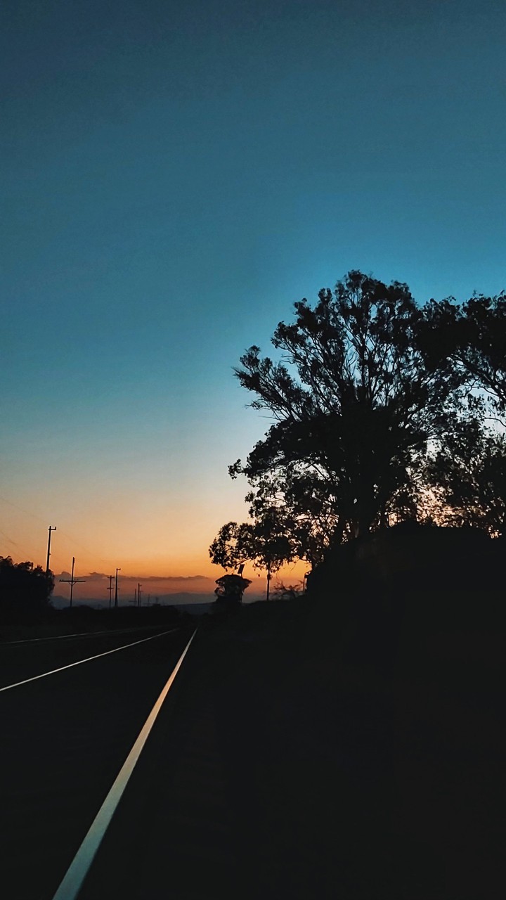 Tren