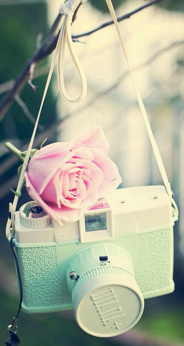 camera