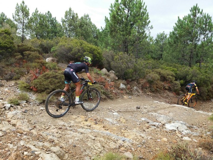 mountain bike