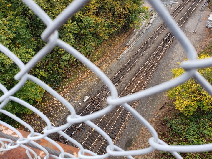 The tracks