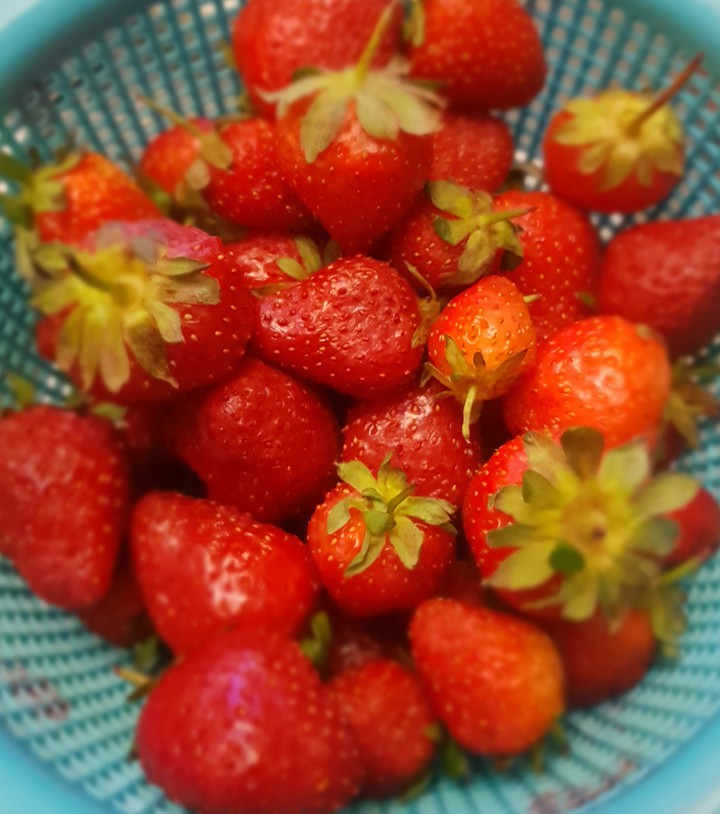 strawberry