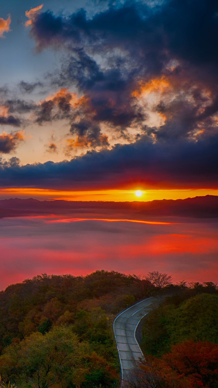 sunset