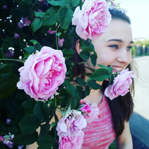 ταπετσαρίες plant, pink