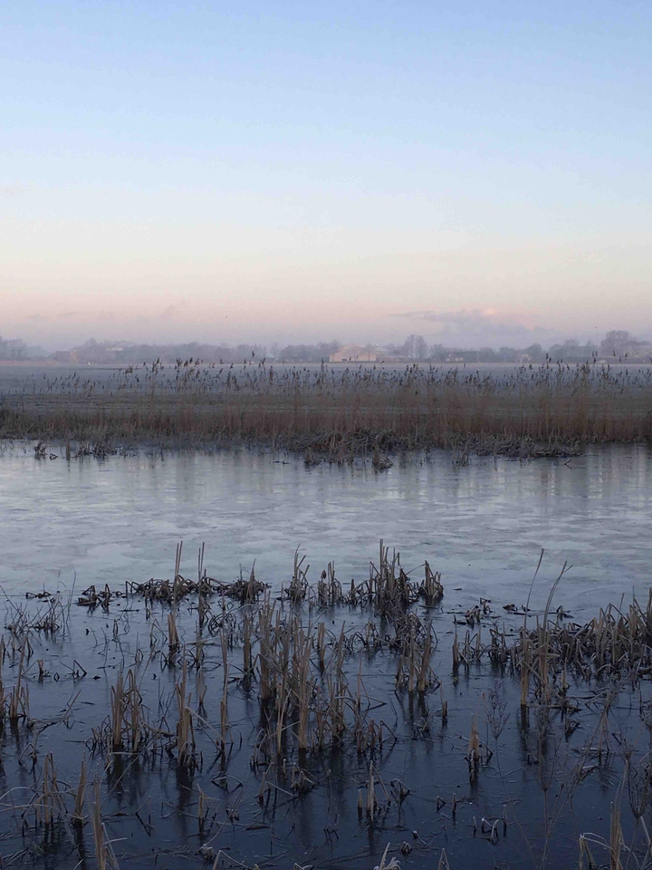 Winter feelings