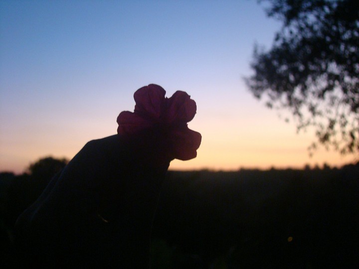 Beautiful