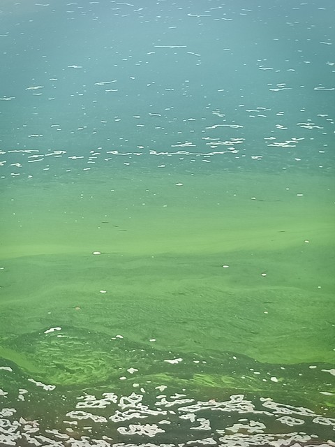 atmosphere, Water वॉलपेपर