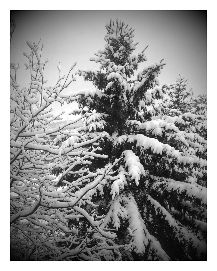 Winter in Ukraine