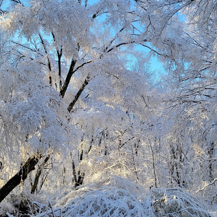snowfall
