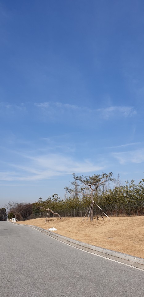 겨울하늘