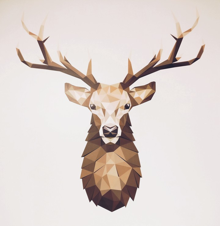 The Deer