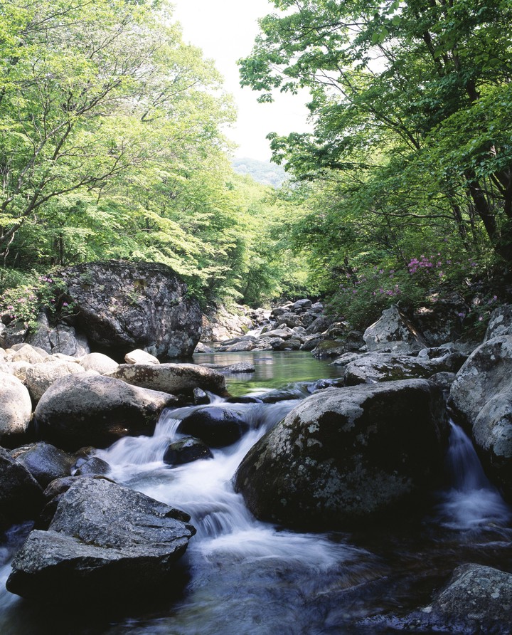 Seasonal Landscape