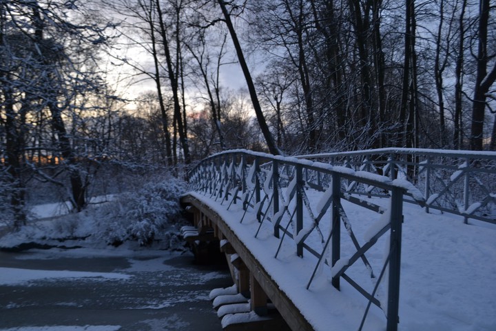 winter