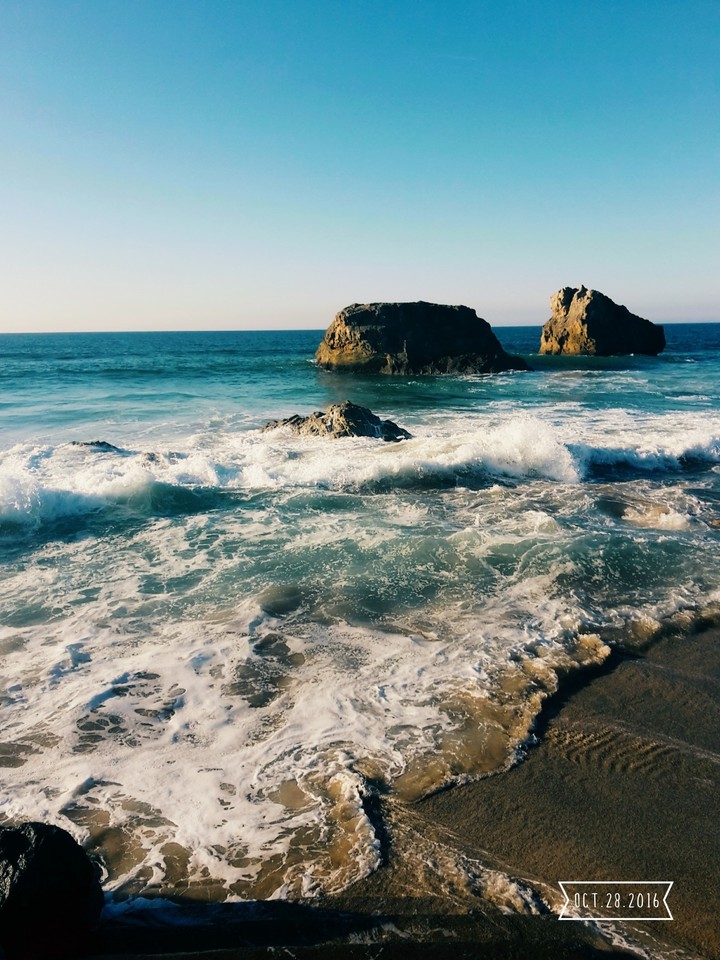 Ocean