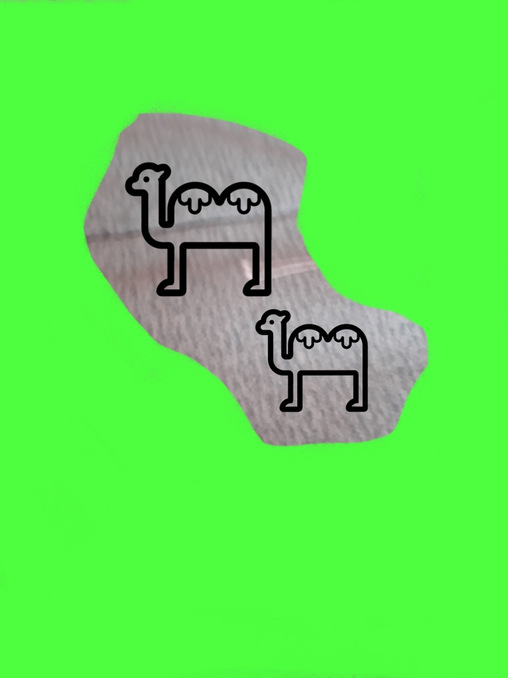 낙타