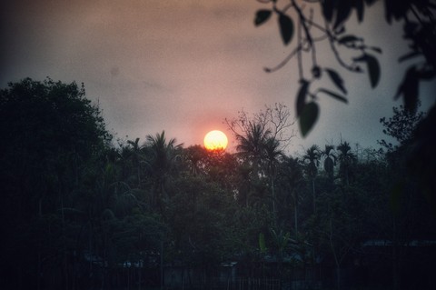 The Beauty of Sunset