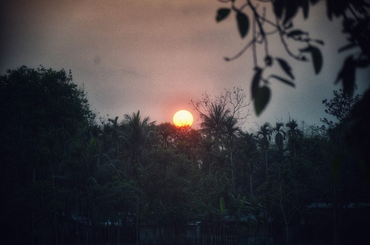 The Beauty of Sunset