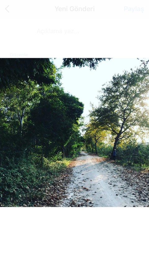 on the unknown road