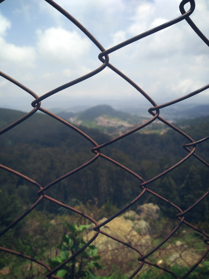 Rusted fence