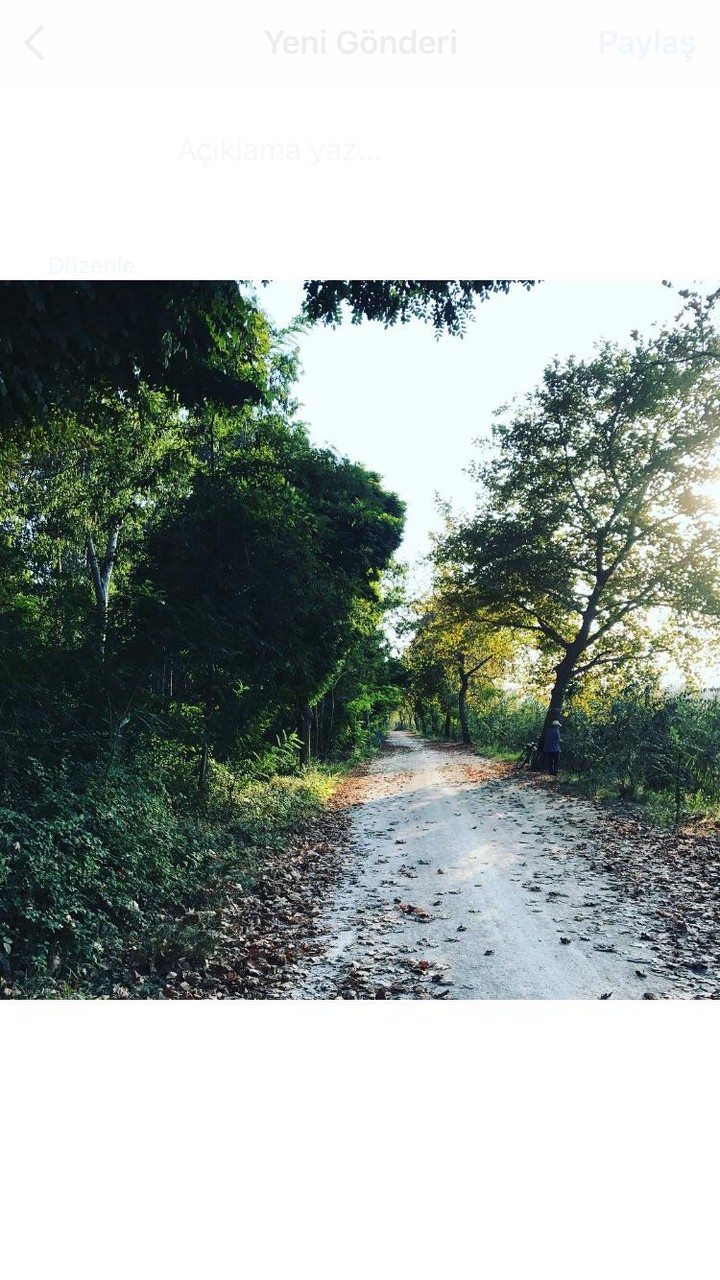 on the unknown road