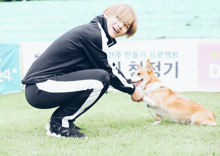 bts v 