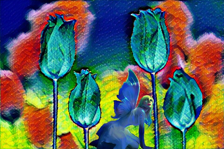 Fairy lost