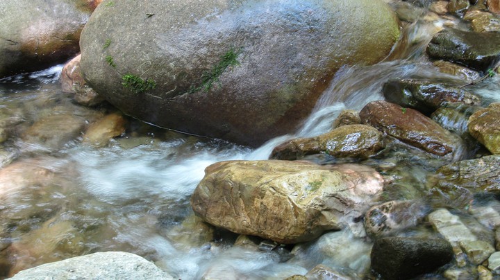 nature