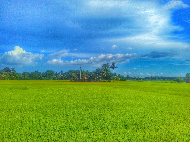 Nature island