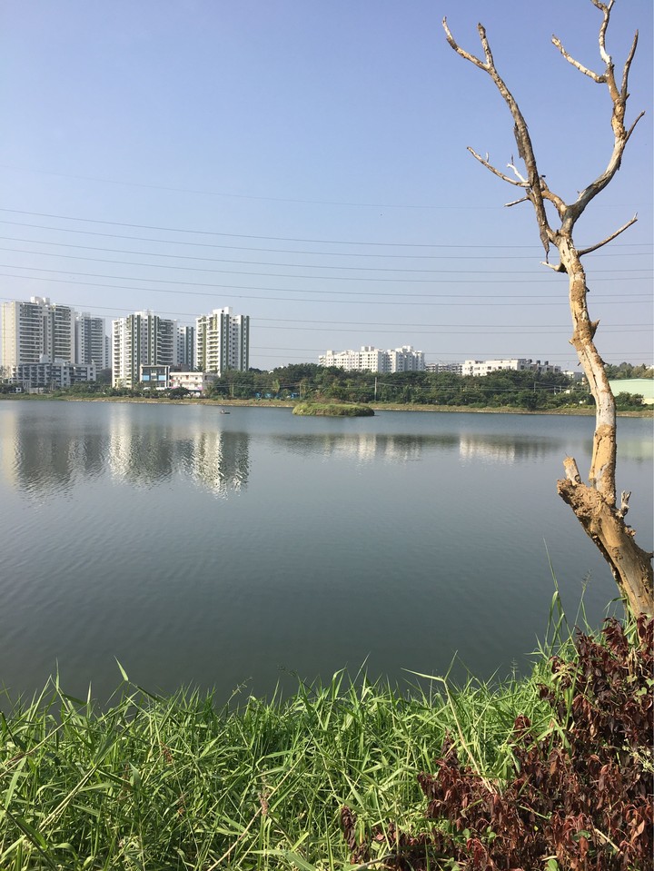 harlur lake