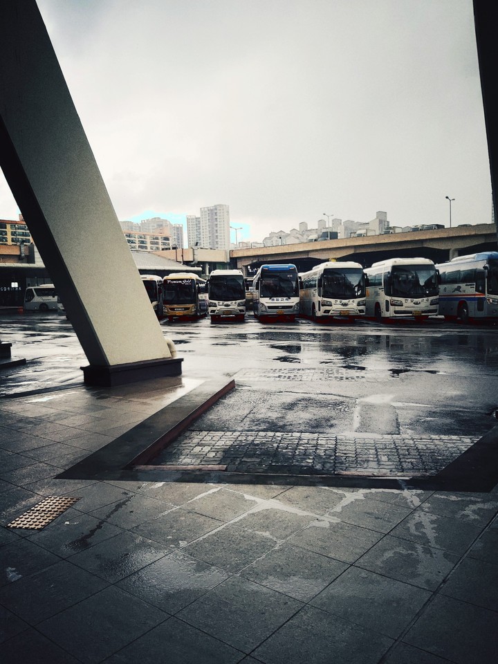 bus