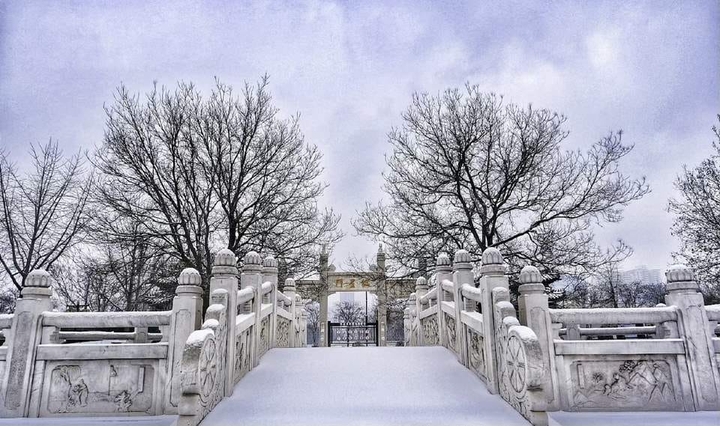 Winter Season