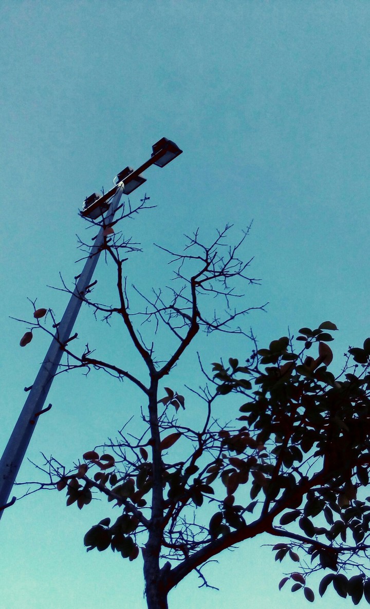 the season has come.