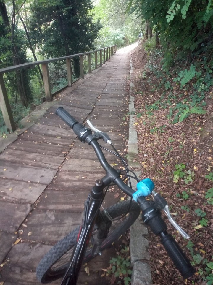 cycling tour