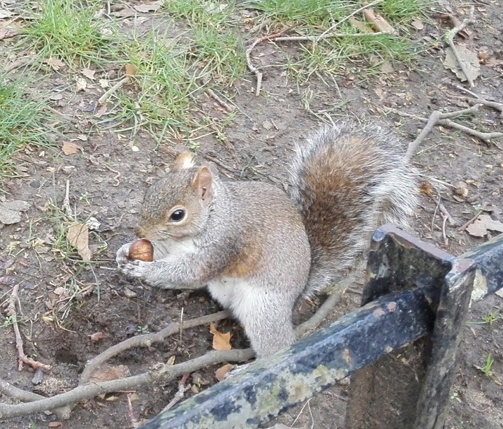 Londra