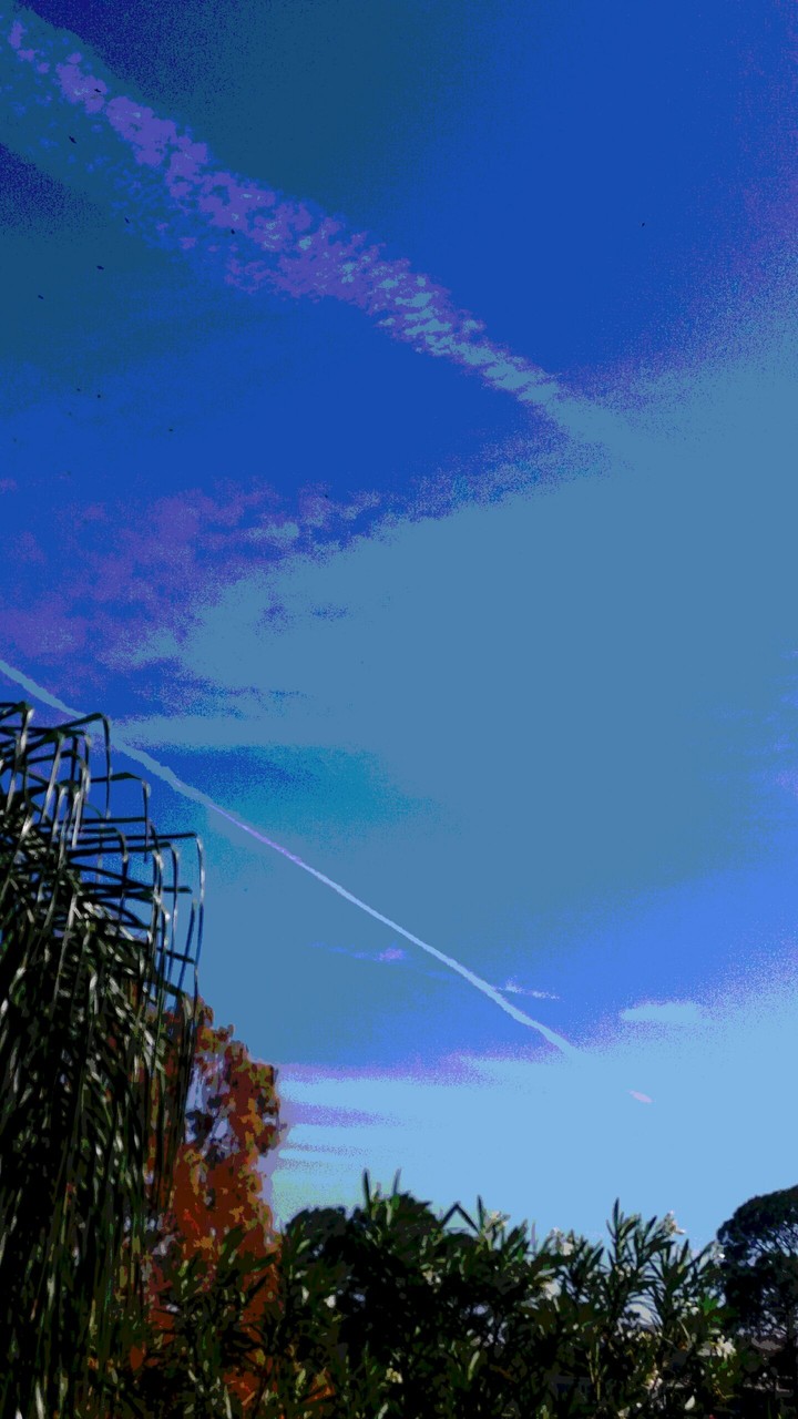 , enjoying a beautiful afternoon