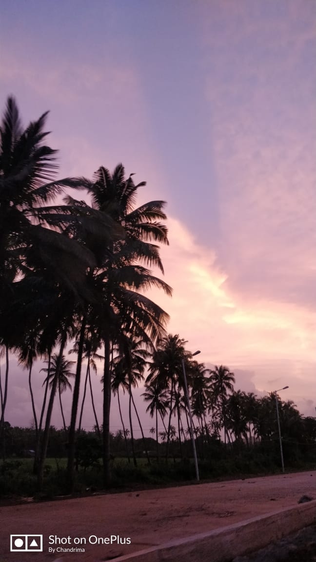goa