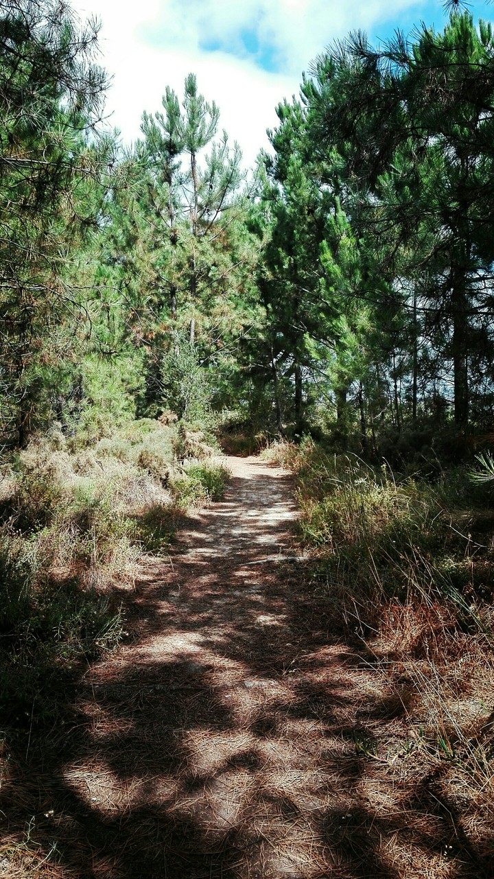 Caminhos