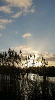 beautyfull sunset in sea