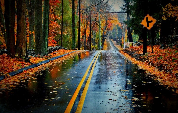 rainy road autumn season