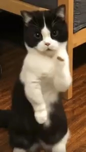 ❤️❤️❤️