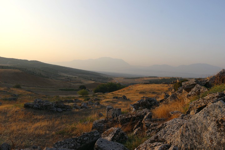nature