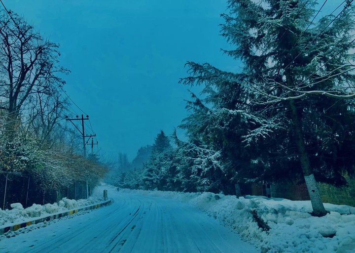 kashmir