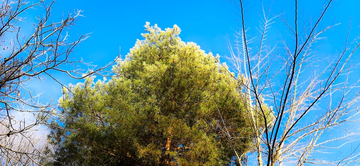 Sunny winter day