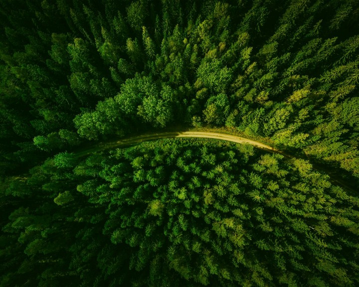 forêt الغابة naturel