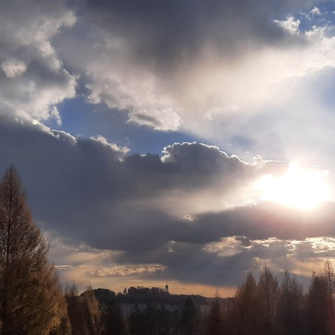 sky, tree壁纸
